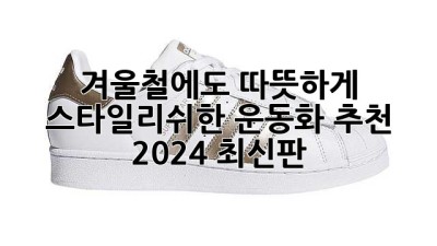 겨울철에도 따뜻하게! 스타일리쉬한 운동화 추천 (2024 최신판)
