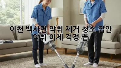 이천 백사면 악취 제거 청소: 집안 악취, 이제 걱정 끝!